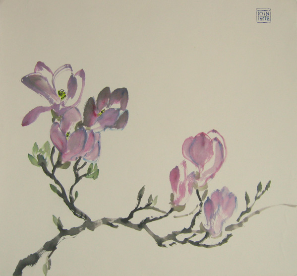 Toinette Lippe
            painting - Magnolia 2