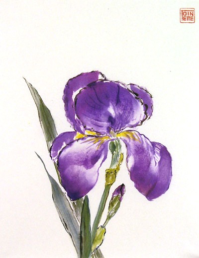 Toinette Lippe painting - Iris