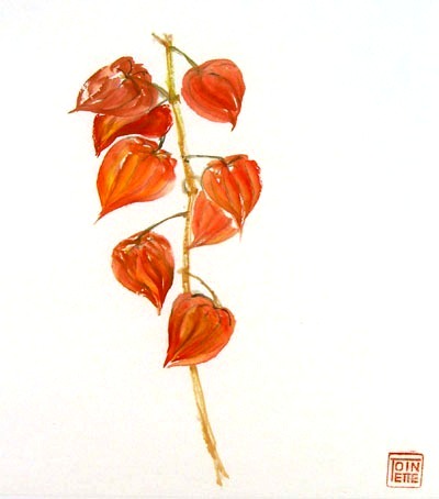 Toinette Lippe painting - Cape Gooseberries