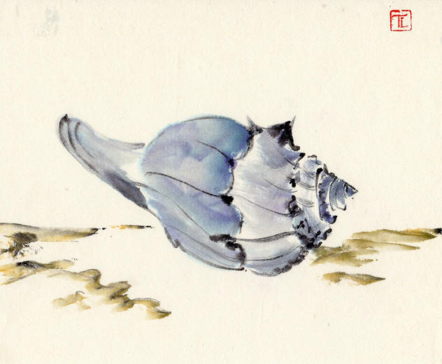 Toinette Lippe painting - Whelk