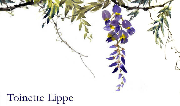 Wisteria by Toinette Lippe